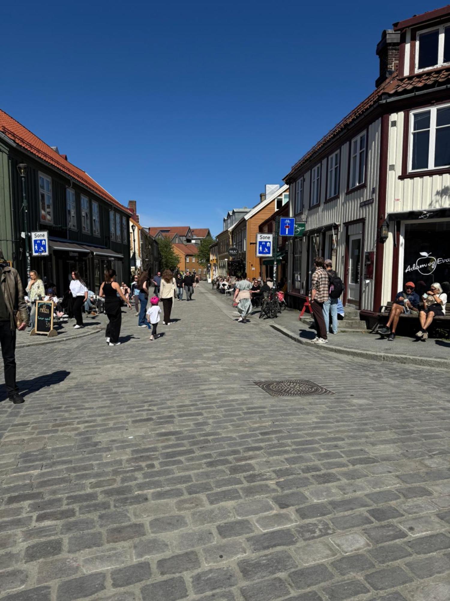 Koselig Studioleilighet I Sentrum Trondheim