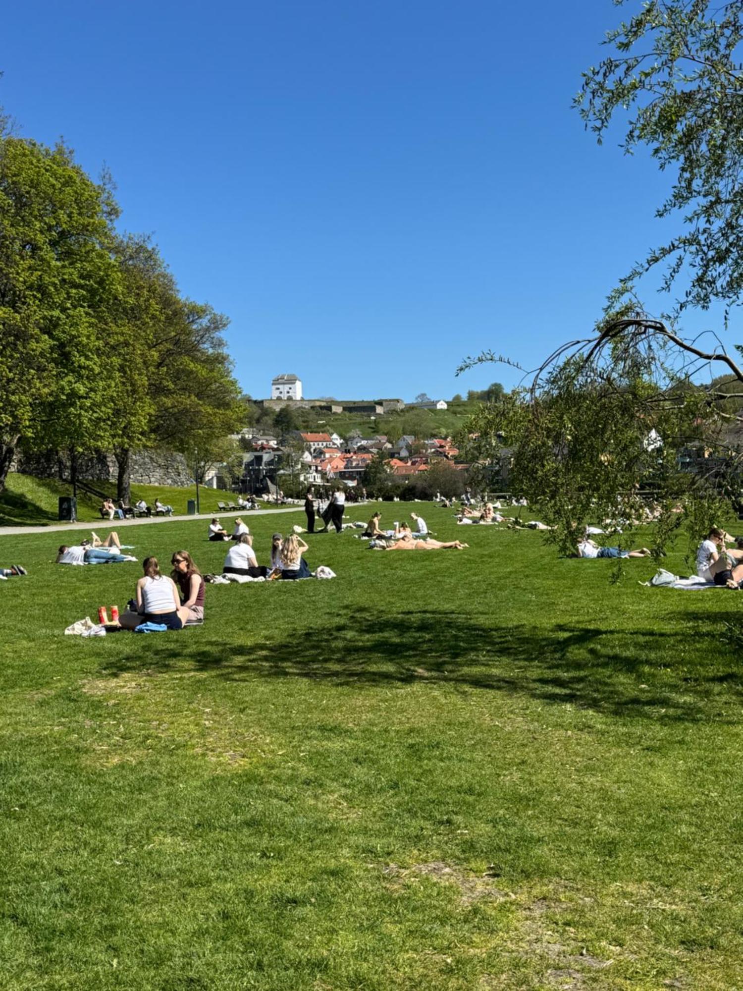 Leilighet Koselig Studioleilighet I Sentrum